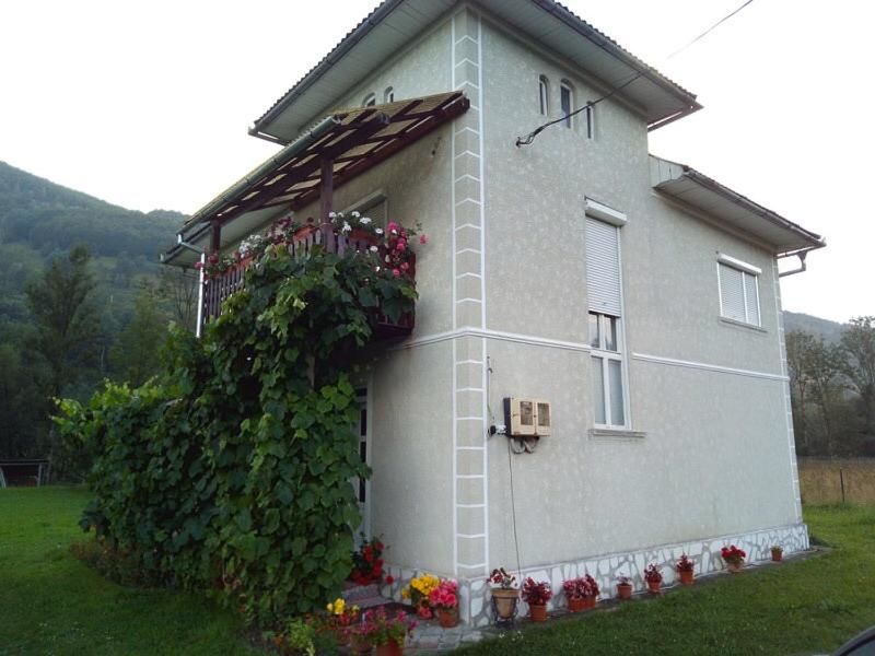 Дома для отпуска Casa Danut Vidra-13