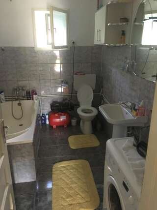 Дома для отпуска Casa Danut Vidra Двухместный номер с 1 кроватью и собственной ванной комнатой-16